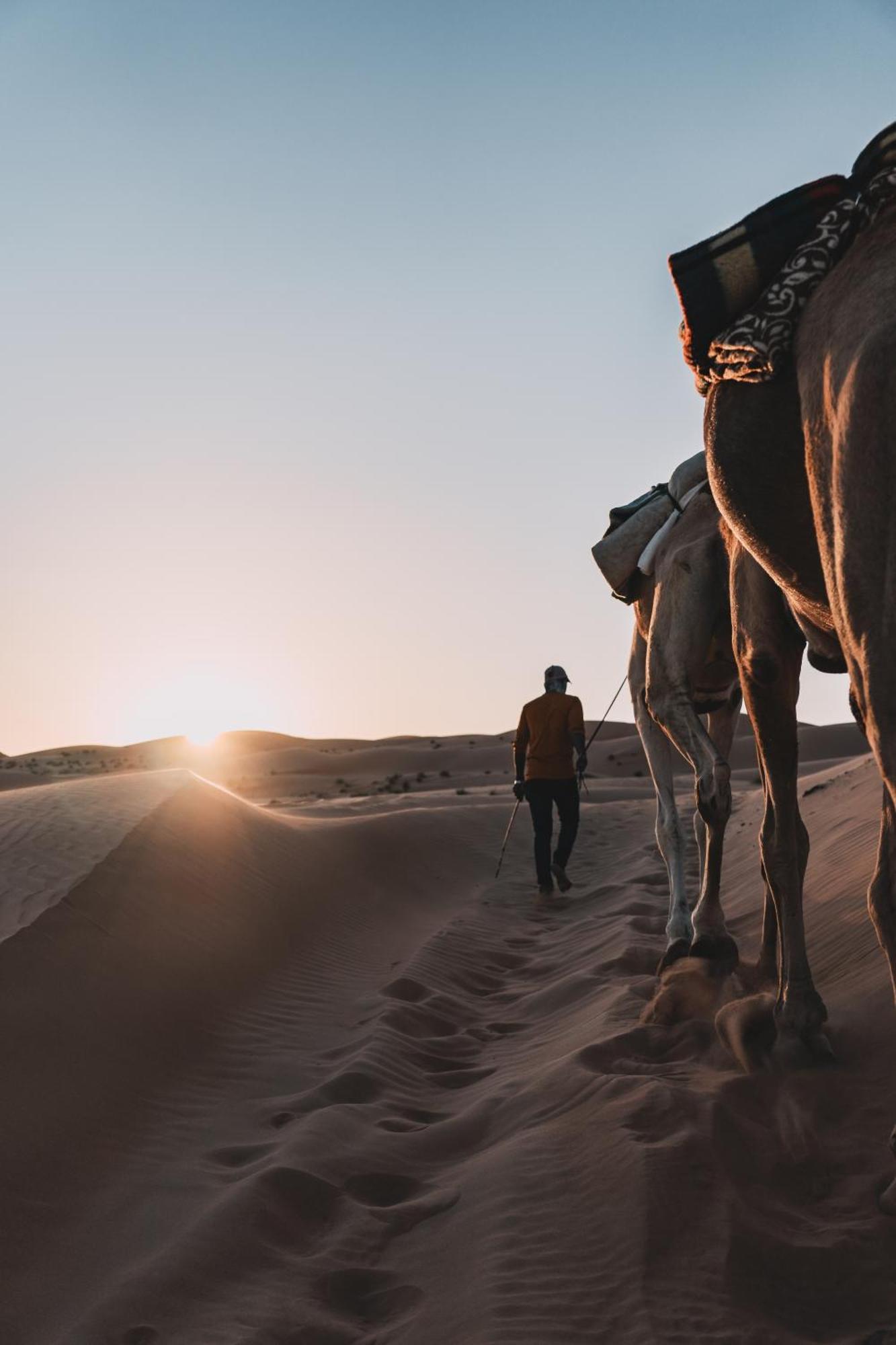 Hamood Desert Private Camp Al Wāşil Kültér fotó