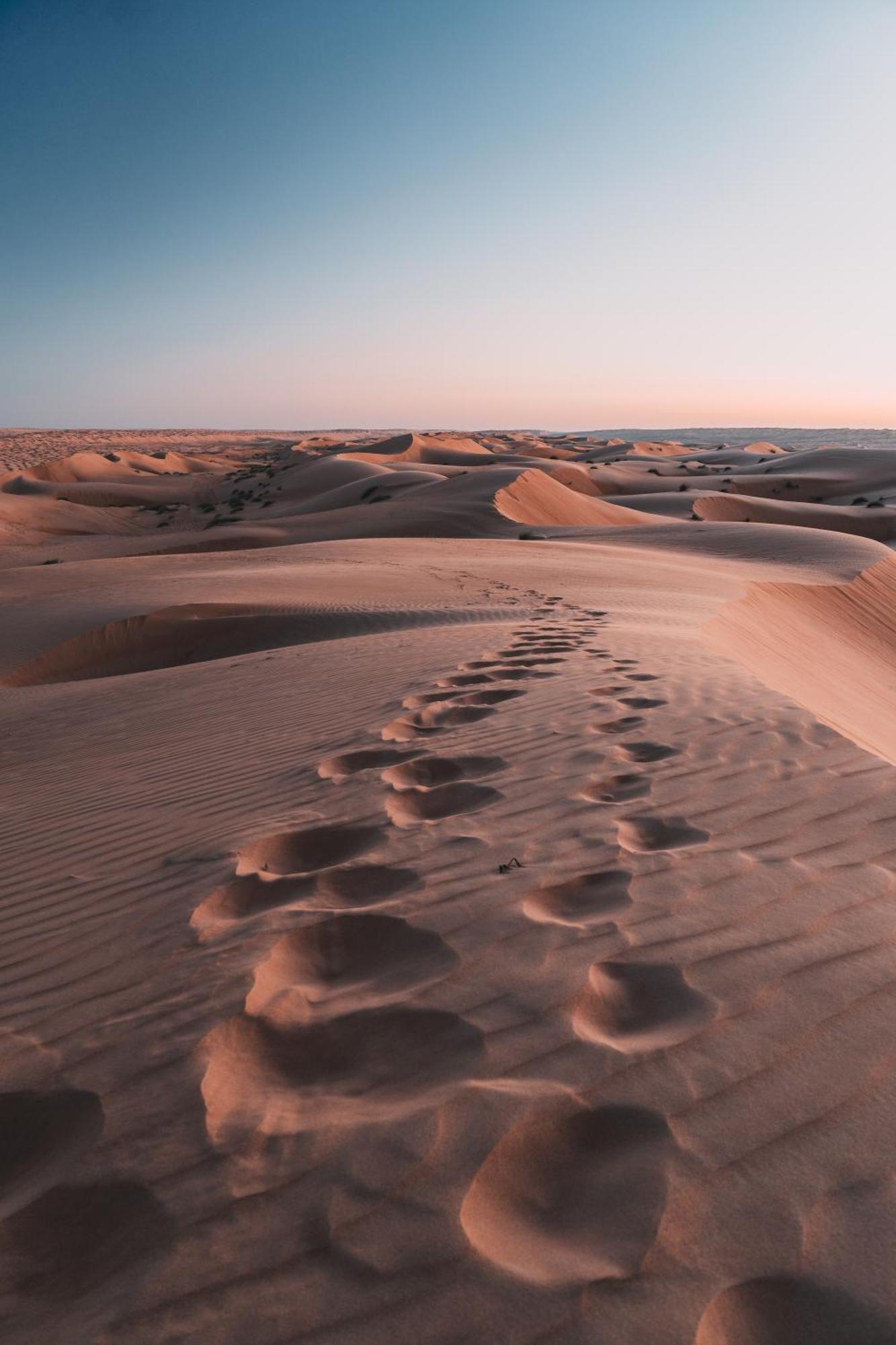 Hamood Desert Private Camp Al Wāşil Kültér fotó