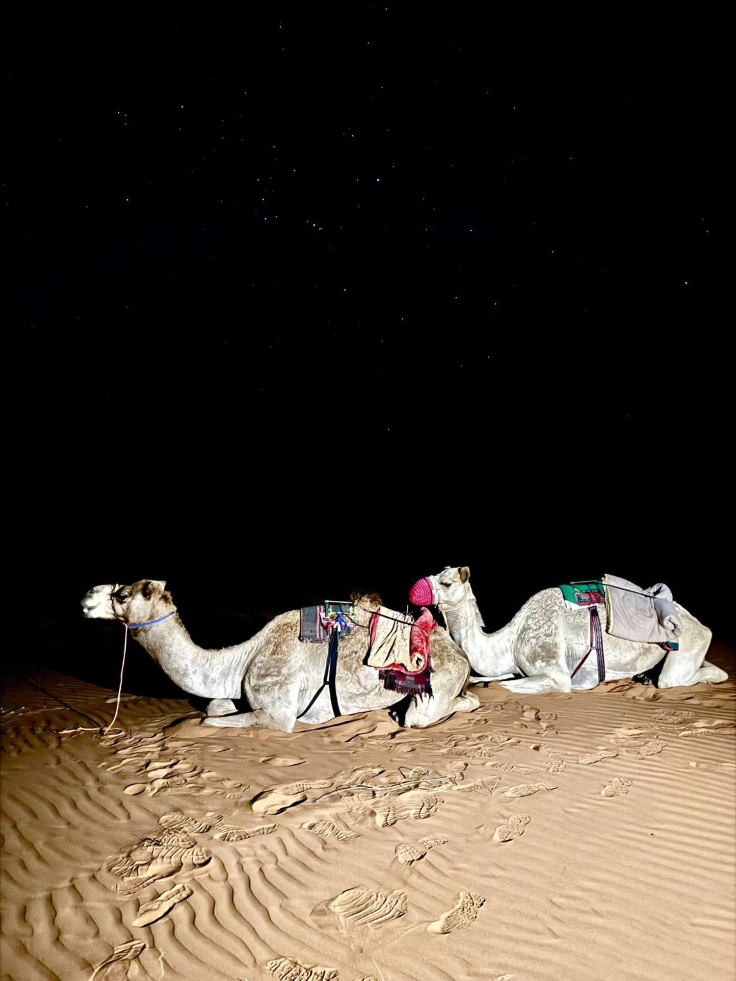 Hamood Desert Private Camp Al Wāşil Kültér fotó